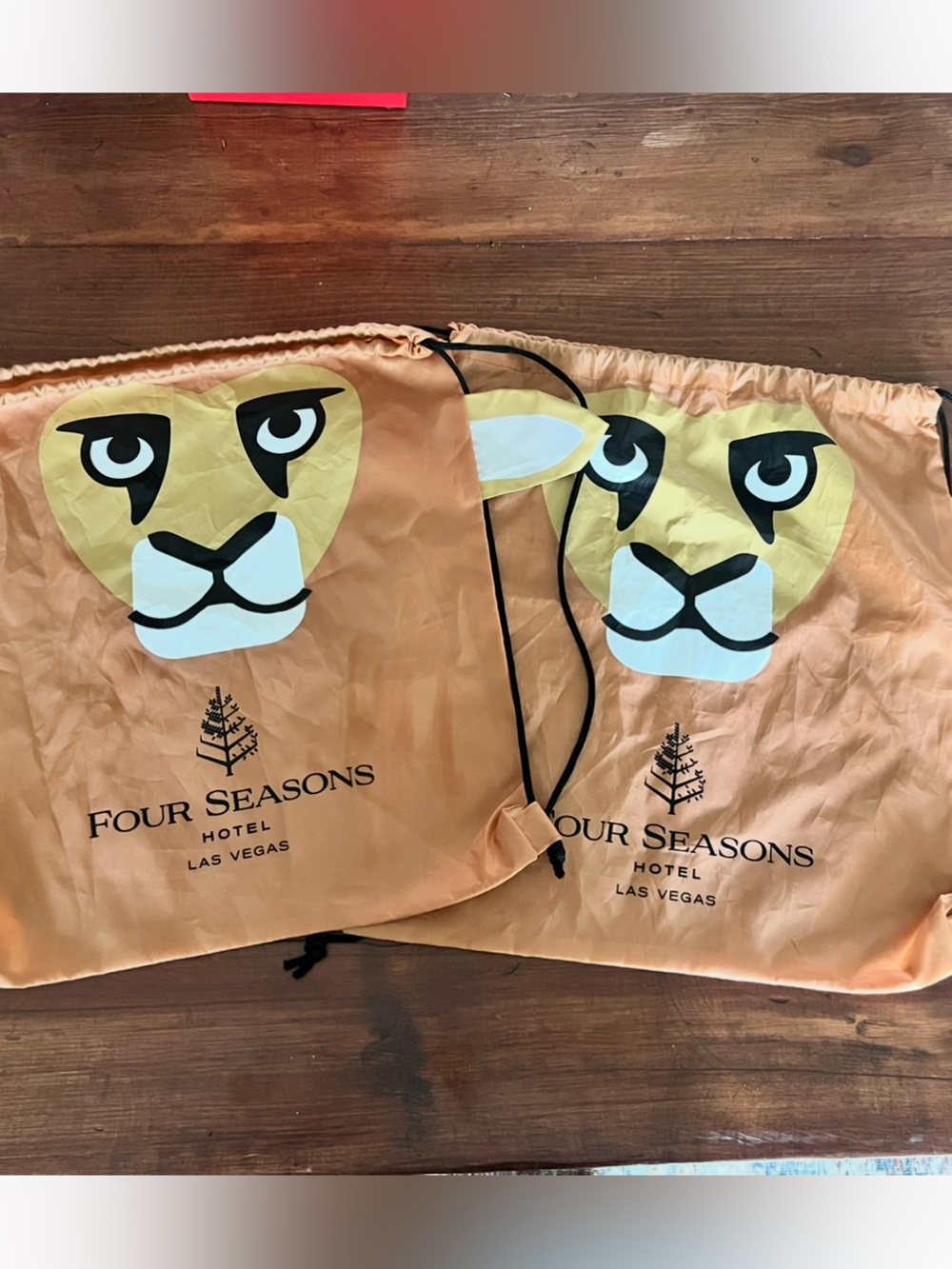 Four seasons hotel Las Vegas kids drawstring backpack bundle of 2